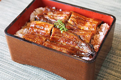 Grilled eel and rice