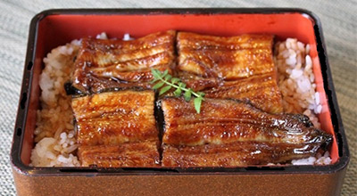 Ibusuki Onsen eel